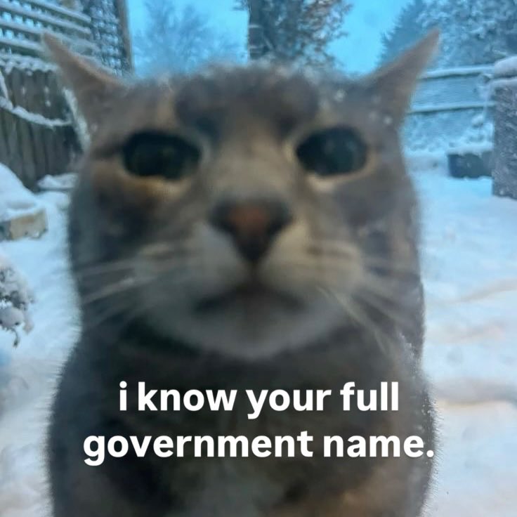 xCuteWithoutxE tweet media