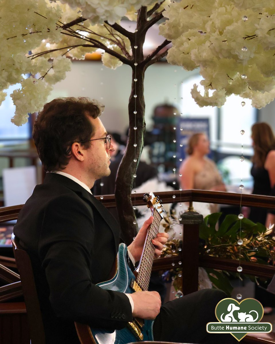 buttehumane's tweet photo. We are excited to announce that tickets for our Gilded Garden Gala &amp; Fundraiser on September 13th are now live! Join us for an enchanting evening celebrating 114 years of animal welfare. For tickets and more information, visit https://t.co/paVfPYkVcD 🌿🌟 https://t.co/lMKFTdt5Xu