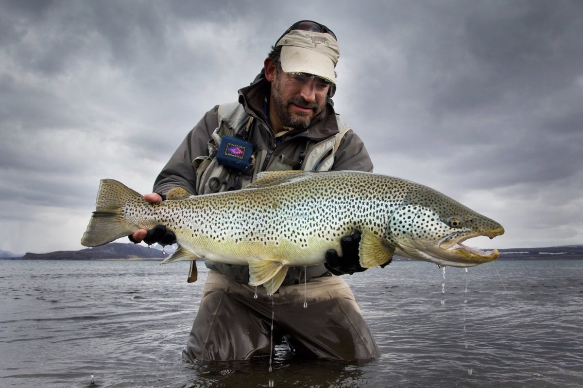 flyfchannel's tweet photo. Some brown trout are simply extraordinary.

Matt Harris with an incredible brown.

#flyfishing #flyfish #flyfishermanschannel https://t.co/PBT14meCtu
