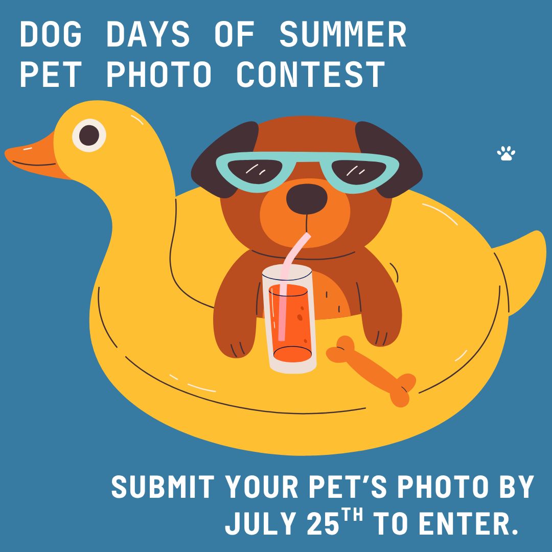 Learn more or submit your pet here: buff.ly/ydzPMXd