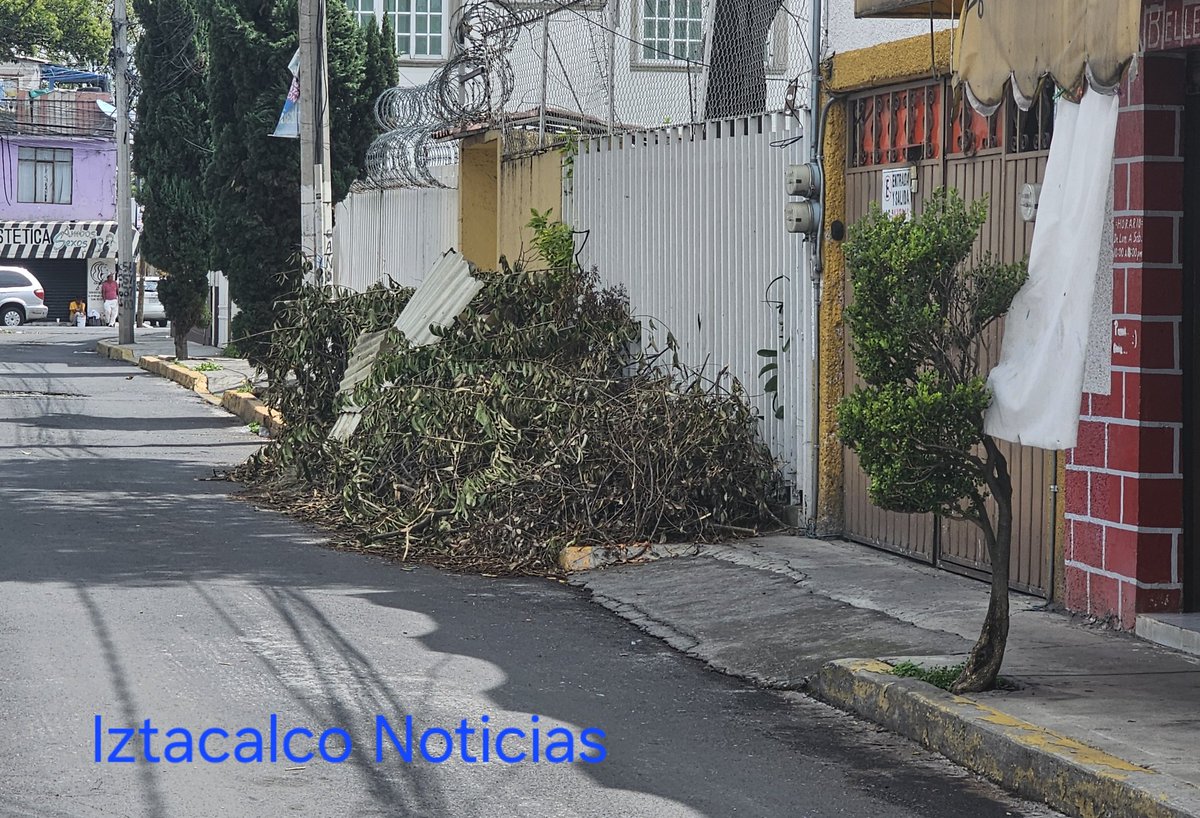 iztacalconews's tweet photo. #YaMerito pasarán a recoger la basura que dejaron después de las podas realizadas en la calle Rosarito, #Barrio #Santiago?
Las fotos son de esta mañana y los vecinos tienen temor de que llueva y esta #basura se vaya a las #coladeras https://t.co/lKeRXBRgDI