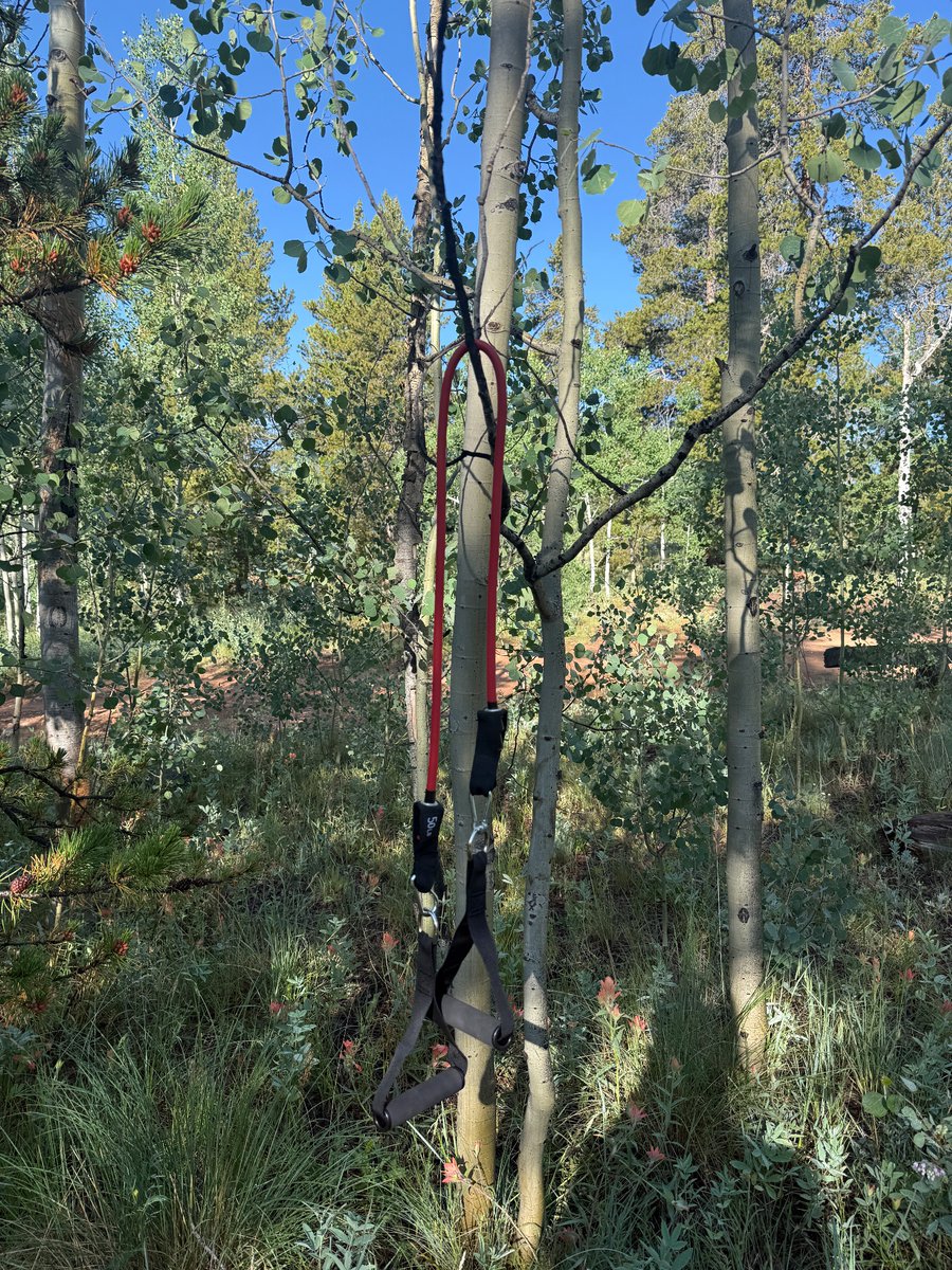 k081e's tweet image. Resistance band workout deep in the mountains without signal? No problem with @TitanGymApp