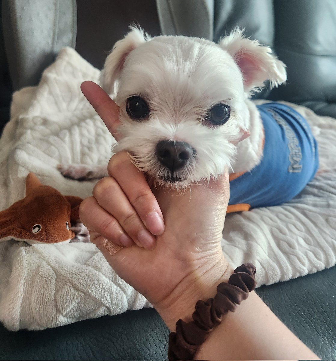 mandoo151214's tweet image. 