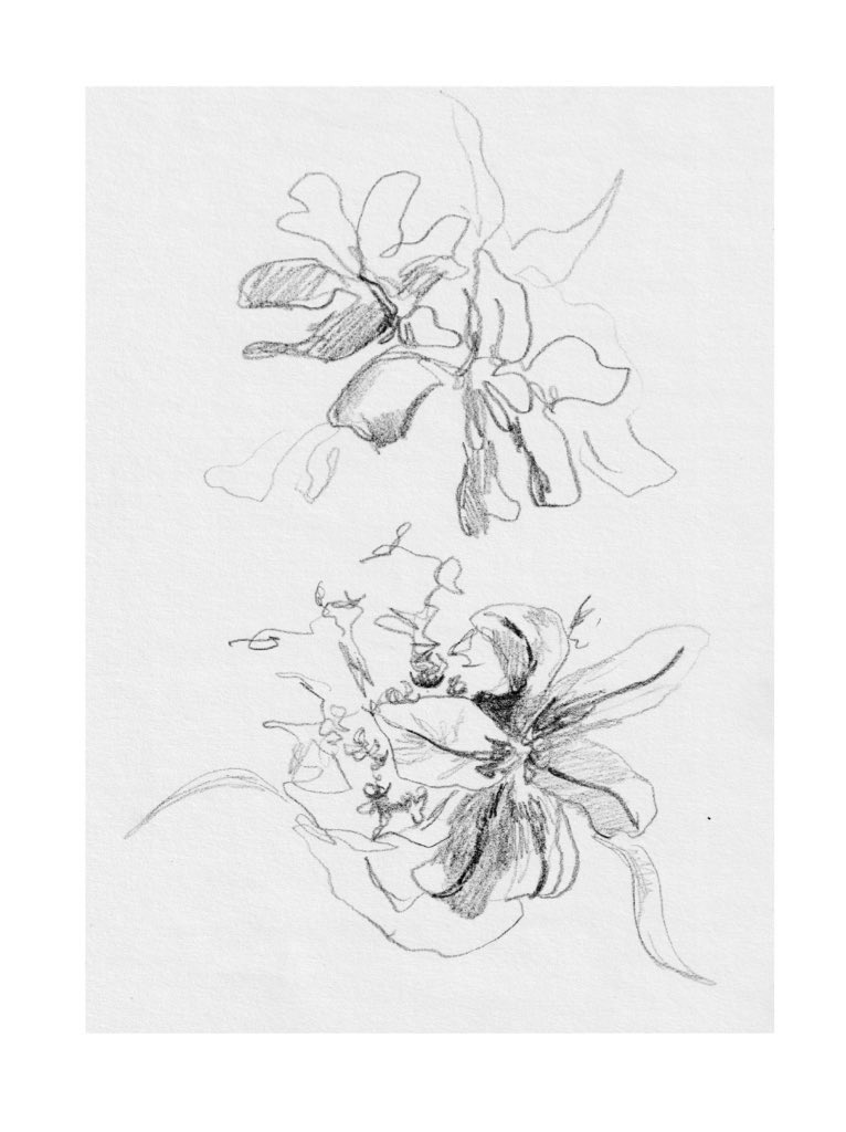 一年前のドローイング