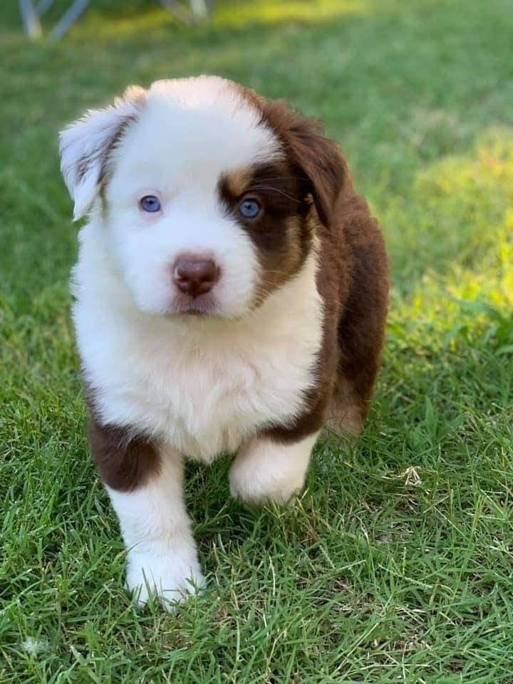 His name is the last thing you ate