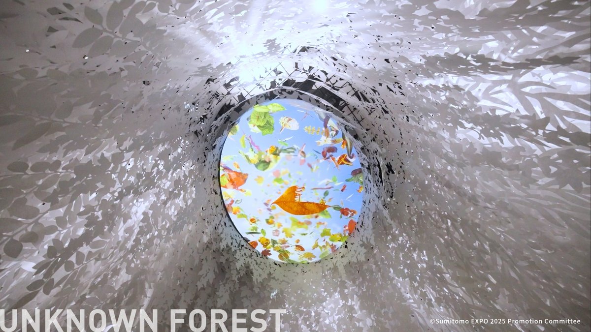 sumitomoexpo's tweet image. UNKNOWN FORESTの中には、葉っぱ切り絵アーティスト リトさん(@lito_leafart)の作品が見られる部屋があります🌱
じつはある場所をよく見ていると…なんと、動いている作品を発見することができるんです👀✨
ぜひ、探してみてくださいね🍀
#住友館
#EXPO2025