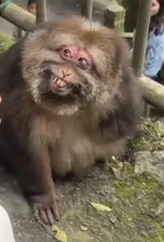 𝑳𝙐𝙁𝙁𝙔。 tweet media