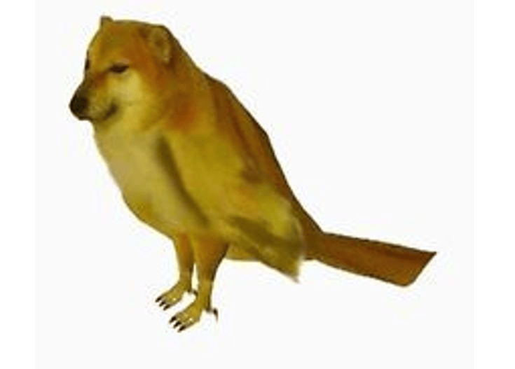 a little birdie tells me  

cheems is going to rip hard and have an insanely good week