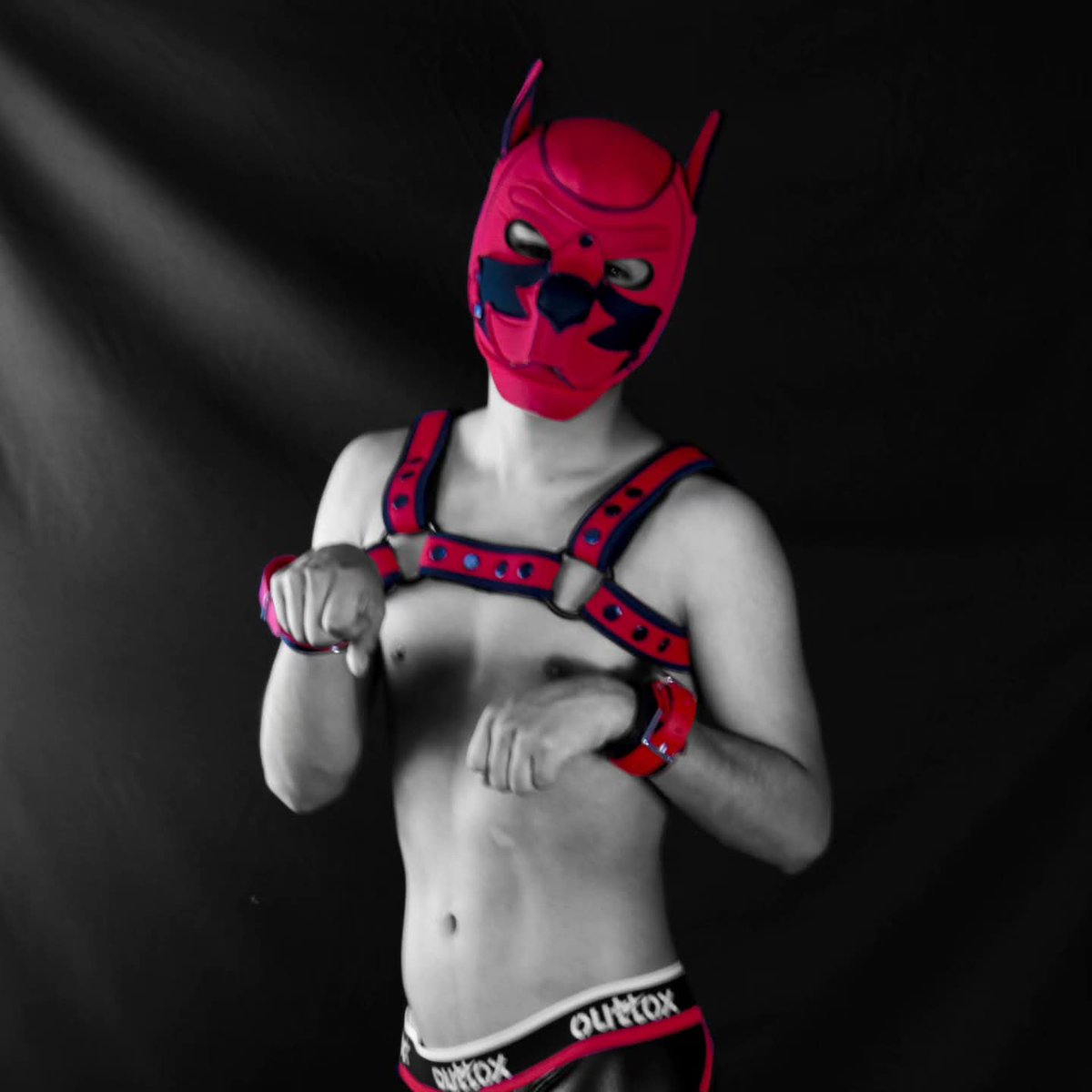 "𝖂𝖍𝖊𝖓 𝖞𝖔𝖚 𝖑𝖊𝖙 𝖞𝖔𝖚𝖗 𝖜𝖎𝖑𝖉 𝖘𝖎𝖉𝖊 𝖔𝖚𝖙, 𝖙𝖍𝖊𝖗𝖊'𝖘 𝖓𝖔 𝖙𝖚𝖗𝖓𝖎𝖓𝖌 𝖇𝖆𝖈𝖐. 🐾😈 #pupplay 𝖜𝖎𝖙𝖍 𝖘𝖙𝖞𝖑𝖊, 𝖆𝖙𝖙𝖎𝖙𝖚𝖉𝖊, 𝖆𝖓𝖉 𝖕𝖔𝖜𝖊𝖗. 𝕯𝖔 𝖞𝖔𝖚 𝖉𝖆𝖗𝖊 𝖙𝖔 𝖕𝖑𝖆𝖞?"

#PupPlay #KinkFashion #HarnessStyle #PupMask #FetishGear #LGBTQ