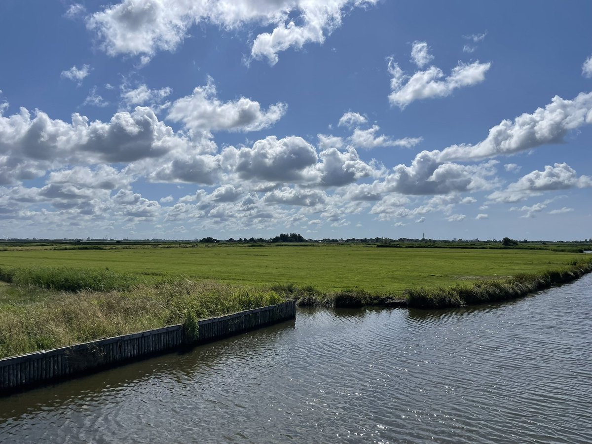 chriszeeven's tweet image. .@dlennips dat zeg ik al tijden. Als de #koeien verdwijnen verdwijnen de #weidevogels. In NoordHolland zijn 6 boerderijen uitgekocht voor natuurvergunning Schiphol. Op 1 zo’n bedrijf verzamelden de #grutto’s zich voor vertrek. Er zijn er nu welgeteld 0.