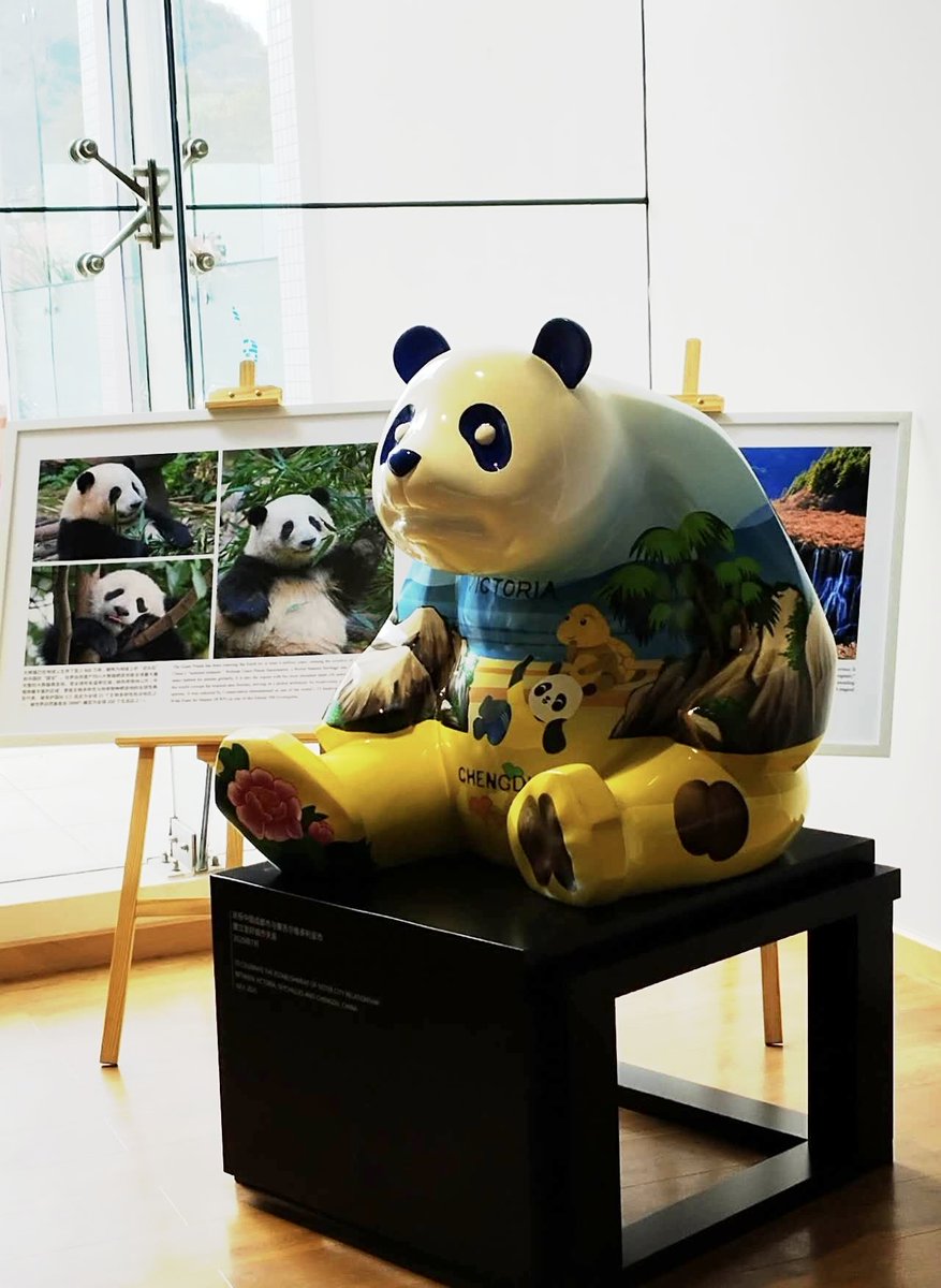 Lin Nan 林楠 tweet media