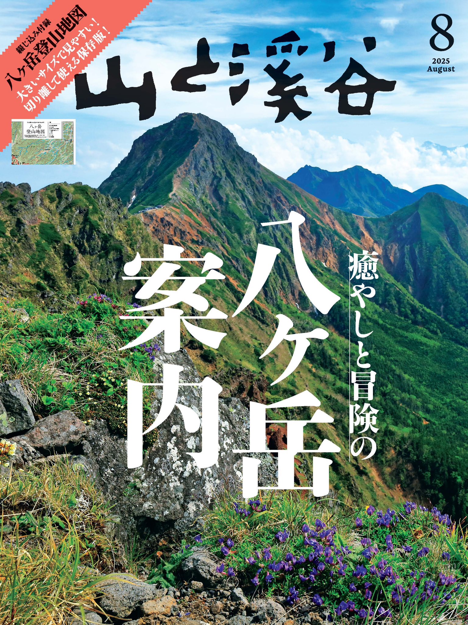 【中古】 関東花と緑の公園ガイド/山と渓谷社/山と渓谷社 51kHmmo6M6L._AC_SY200_QL15_.jpg