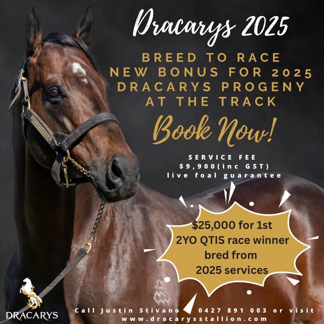 Dracarys - Australian Thoroughbred Sire tweet media