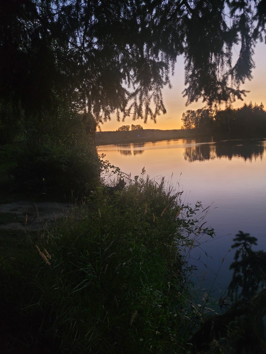 Hoff (@hoffphph) on Twitter photo 