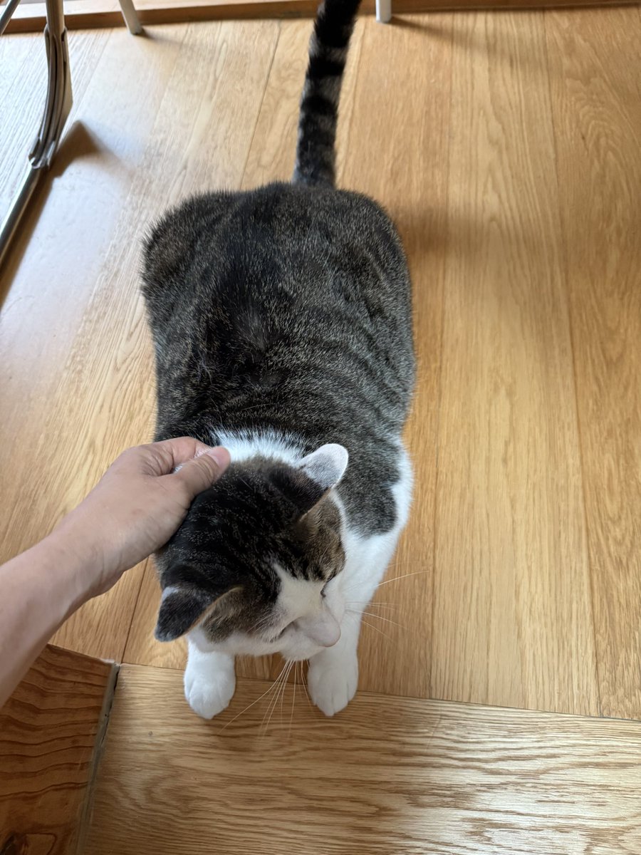 네모네모 회돌이