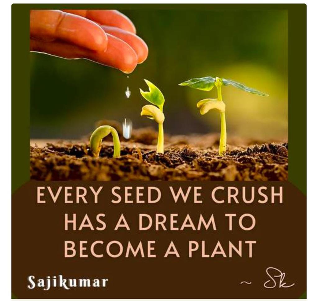 Skanauthor's tweet image. Every seed holds a silent hope… until we crush it. 🌱💔
A powerful reminder by Sajikumar to tread gently — with seeds, dreams, and each other.
Website Link: sajikumar.co.in
#NatureWisdom #SajikumarQuotes #SKSpeaks #RespectLife #QuoteOfTheDay
