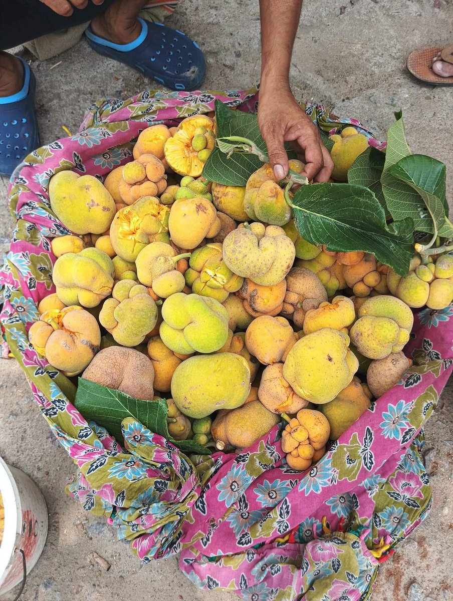 नाम तो छोड़िये कितने लोग देखे भी नही होंगे