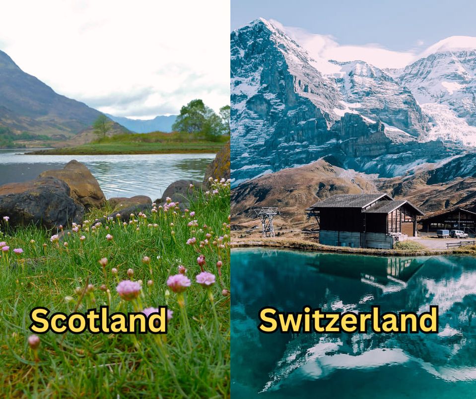 ruby_willi35197's tweet image. Scotland      Or Switzerland