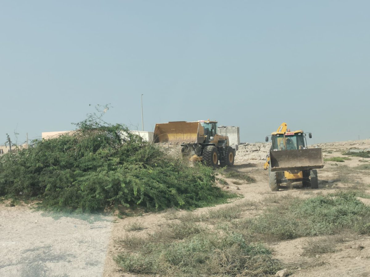 s989870's tweet photo. نشكر اللجنة المشكلة من مختلف الجهات الحكومية وعلى رأسهم مكتب والي الدقم والمديرية العامة للثروة الزراعية والسمكية وموارد المياه بمحافظة الوسطى على ما يقومون به من جهود للقضاء على شجرة المسكيت https://t.co/RQ1ndIIwX2