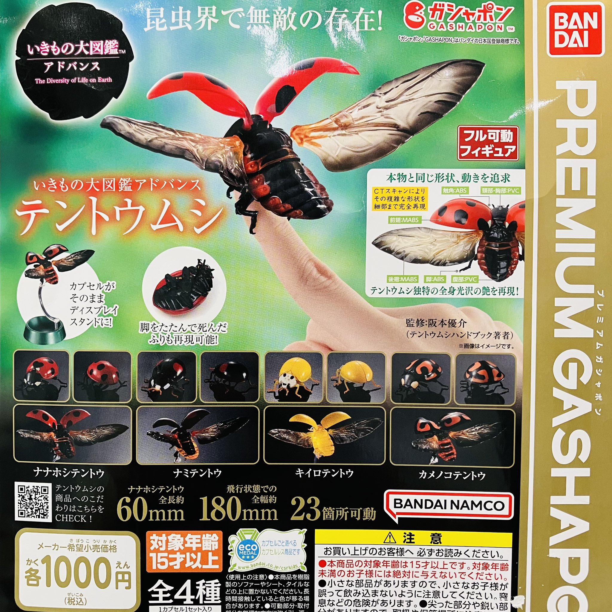 【かたつむり】大地の知識/Earthcraftセット売り【TMP】 他の人はこちらも検索 大地の知識/Earthcraft》[TMP] MTG通販