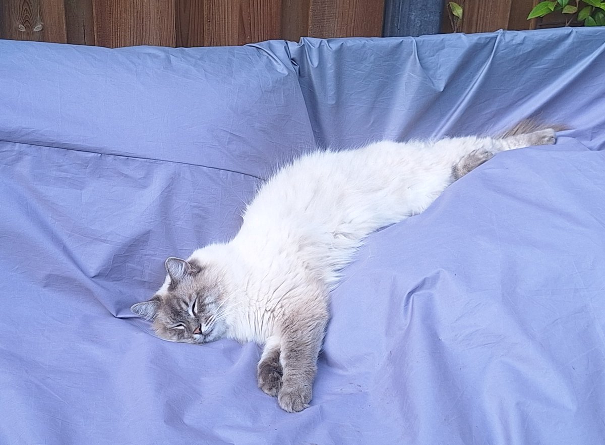 Goedemorgen; Dexter is nog niet uitgeslapen!
Fijne dinsdag gewenst!