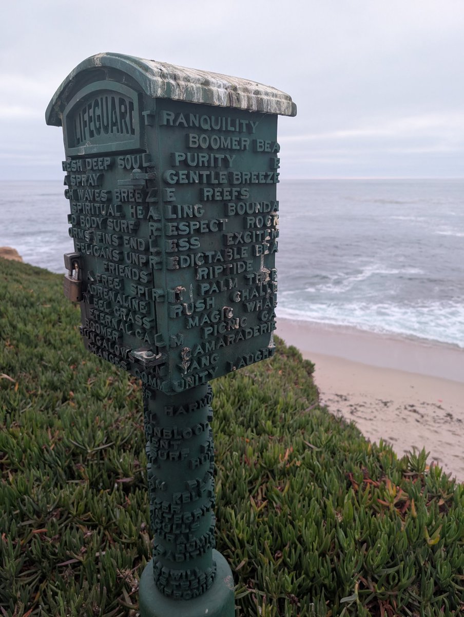 A little getaway to San Diego for my son's birthday. Day 1: La Jolla Cove