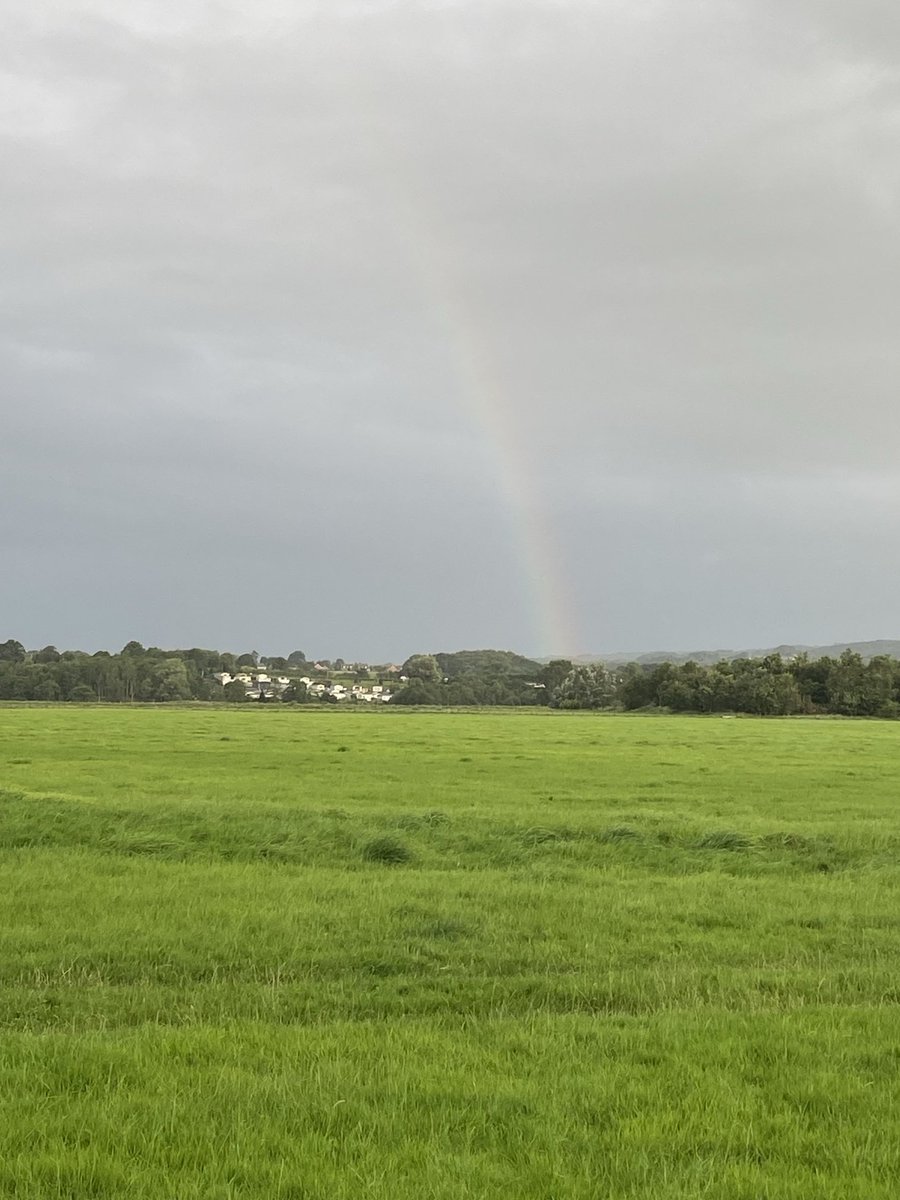 Andrew Duncan MNAEA tweet media