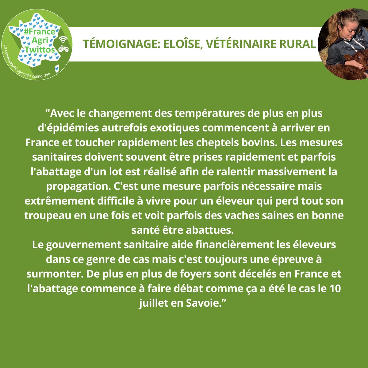 Fragritwittos's tweet image. La France a confirmé le 29 juin 2025 pour la première fois, un foyer de dermatose nodulaire contagieuse (DNC) bovine dans un élevage bovin laitier de Savoie sur la commune d’Entrelacs.
La DNC est une maladie non transmissible à l’homme. Cette maladie vectorielle strictement…