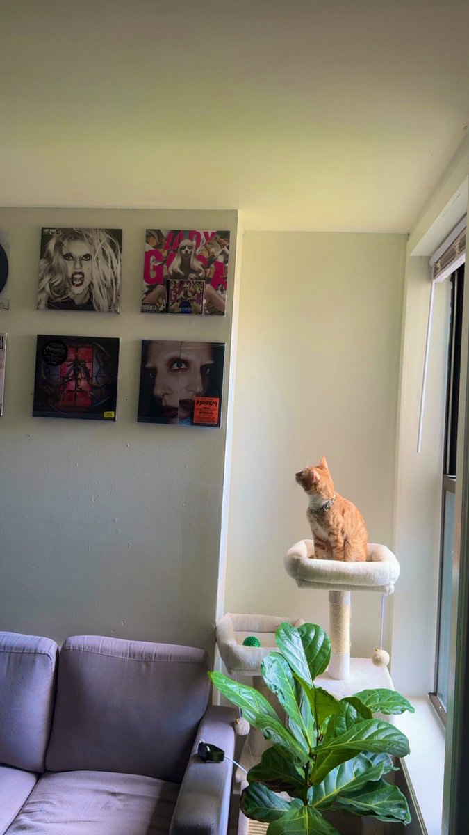 I tell him everyday who we Stan in this house