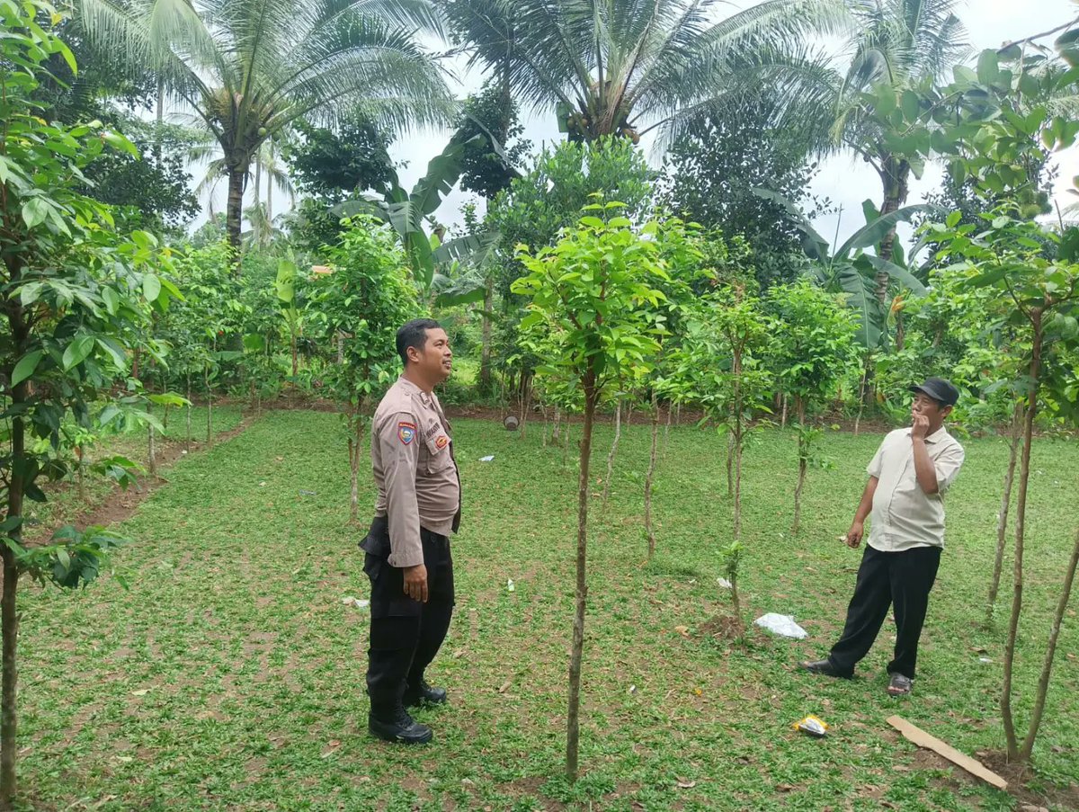 PSerangkota's tweet photo. Bhabinkamtibmas Polsek Curug Polresta Serang Kota Aipda Wahyu, Melaksanakan sambang dan monitoring Program pemerintah dalam rangka ketahanan pangan Nasional di Kp. Tinggar Lebak Rt 005/002 Kel. Sukalaksana Kec. Curug Kota. Serang.
Selasa (15/07/2025) https://t.co/gleQvvwpn3