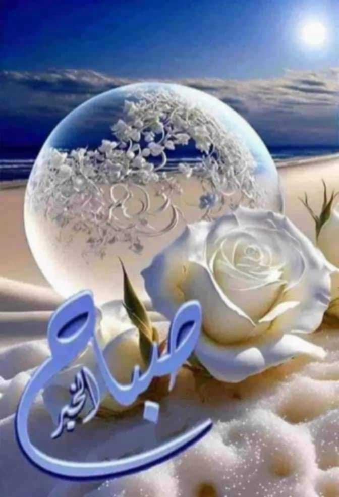 □○□
صباح الخير للصابرين الذين لا تغلبهم الحياة ،
ولمن كان لهم  امان  الواثقين بأن الله لن يخيب ظنهم .
.
.
#صباح_الخير 🌺🌸