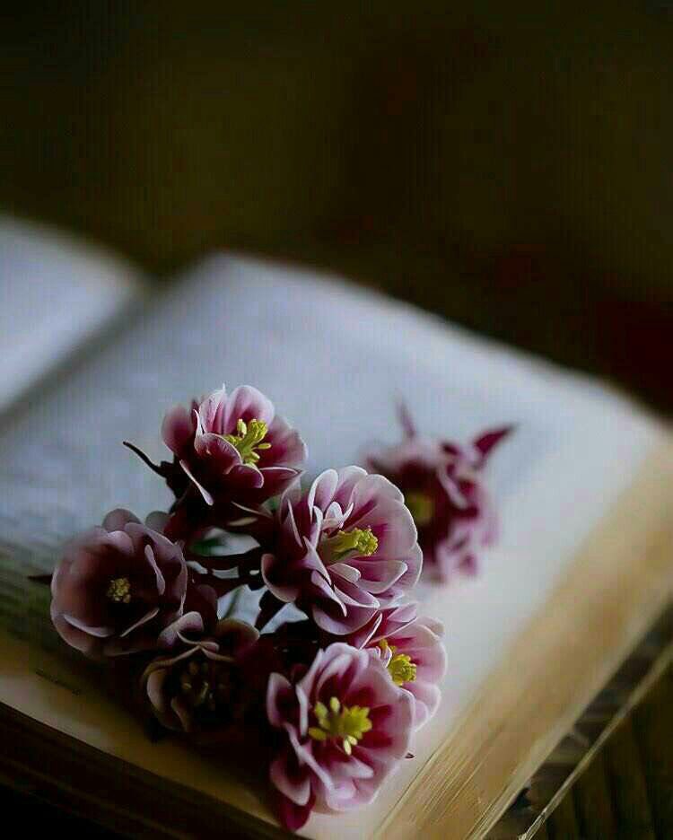khwatr1O's tweet photo. إنما النـاس لطـفاء بحـجم المصـلحة فلا تتعـمق ولا تتعـلق.🌸 https://t.co/Kyhnkmtqui