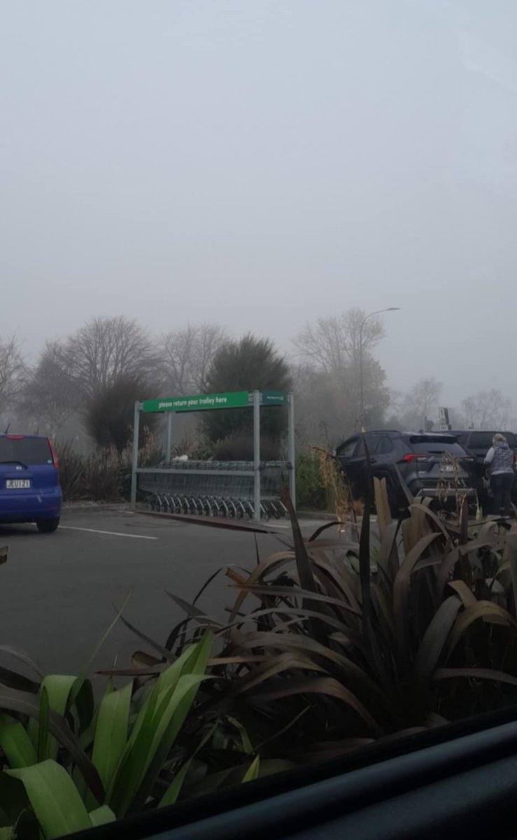 romikscube's tweet image. the #mist is out here flexing its 
#drama like it’s #auditioning 
for a music video. 
but here’s the twist: while the 
#mist looks cool, you’re out here #freezing 
your #ambitions off.

#MistOClock #NZ #NewZealand #Think #DontThink #JustBeHappy #Goodvibes