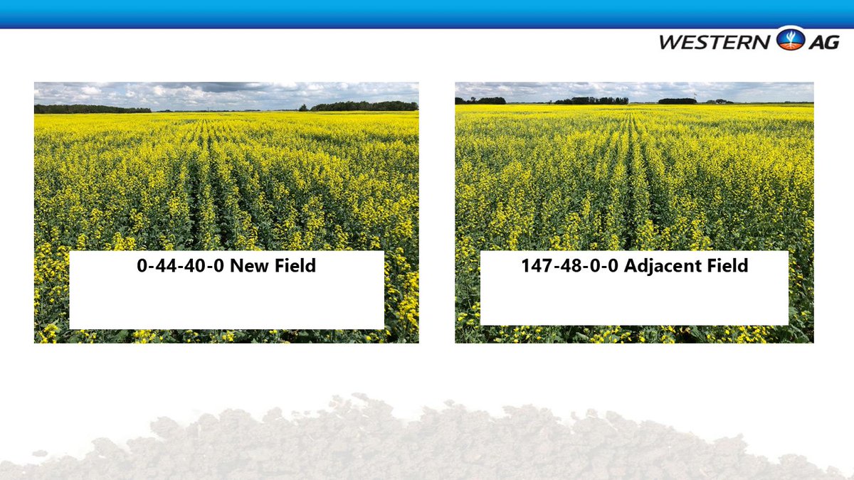 Elliott Hildebrand PAg (@elliott_r_h) on Twitter photo What to expect from soil analysis and nutrient planning? <a href="/Western_Ag/">Western Ag</a> PRS Probes and Cropcaster are a combination of tools to 1) see more clearly what your soil can offer the crop in nutrient supply, and 2) show where diminishing marginal fert $ returns kick in. See us at #AIM25 What to expect from soil analysis and nutrient planning? <a href="/Western_Ag/">Western Ag</a> PRS Probes and Cropcaster are a combination of tools to 1) see more clearly what your soil can offer the crop in nutrient supply, and 2) show where diminishing marginal fert $ returns kick in. See us at #AIM25