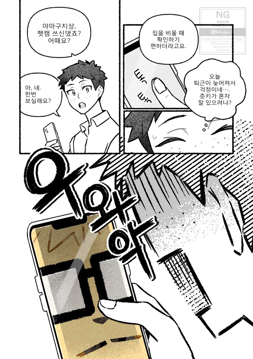 츳냥이 ⛰️가 펫캠을 확인한다는 걸 알아서 귀가가 늦어지거나 불만이 생길 때마다 렌즈를 빤히 쳐다봄(?)