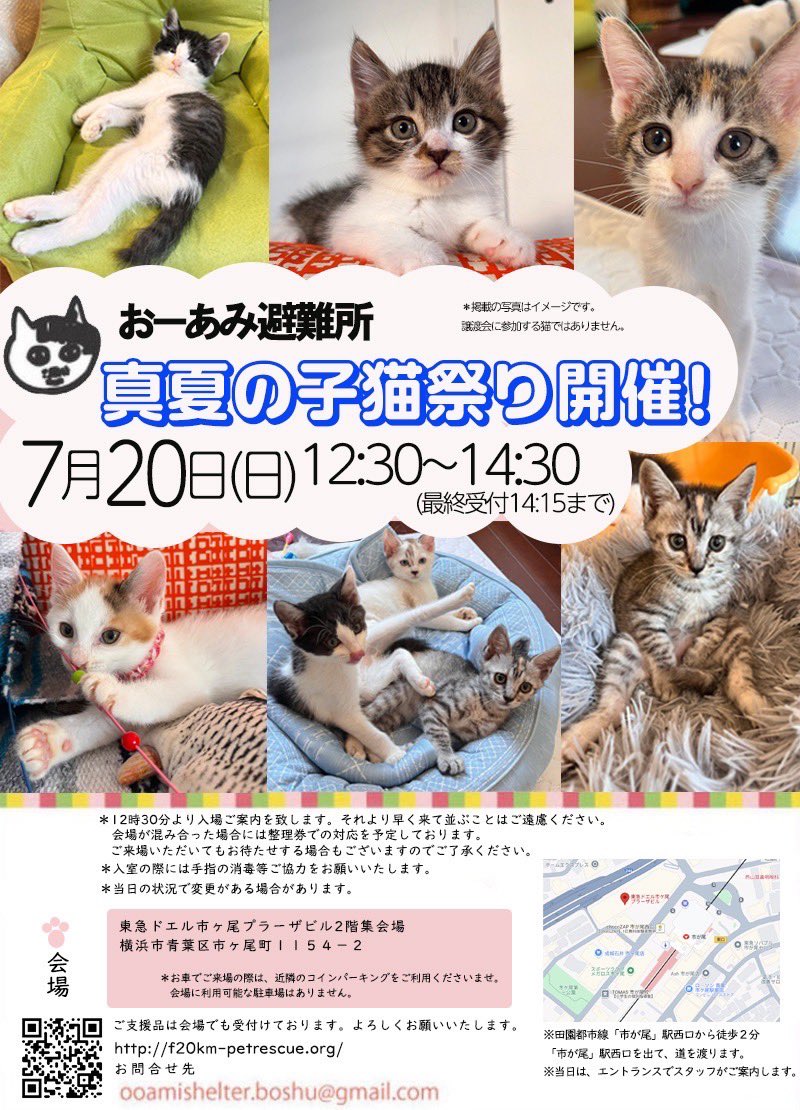 ちびにゃんこ様♡ありがとうございます♡ ちびにゃんこ様♡ありがとうございます♡ （Profile for 今日の