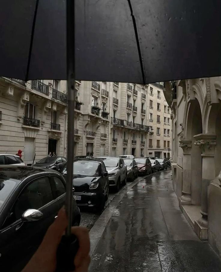 AliceAlice185's tweet image. Under the umbrella, the world slows down. Just me, the rain, and a quiet Parisian street.
#ThroughMyUmbrella #ParisInRain #RainyWalks
 #StreetMood #UrbanSerenity #RainRomance
 #WanderingInTheRain #QuietCorners #SoftAesthetic
 #CloudyDays #ChasingStillness
