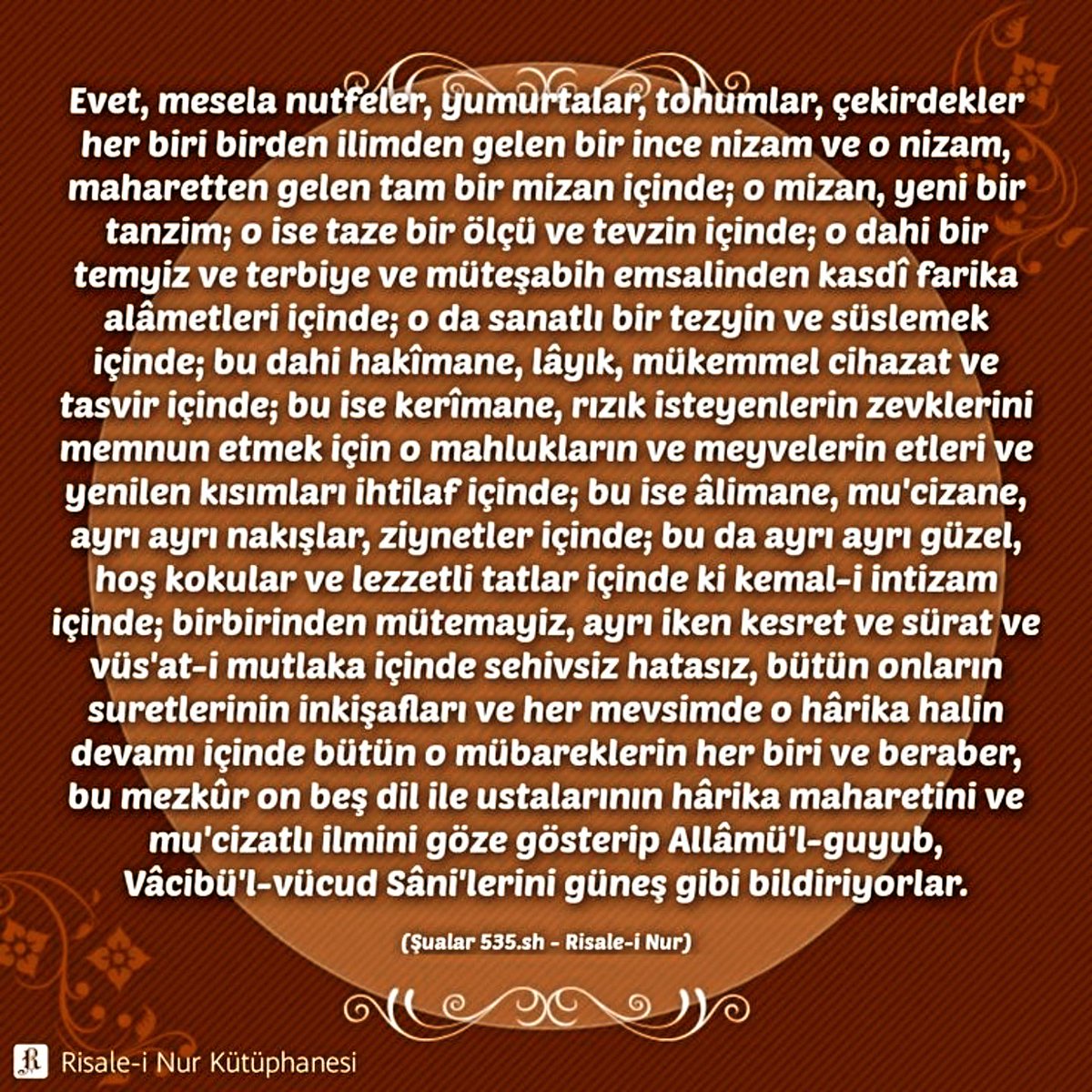 Maruf Korkulu (@marufkorkulu) on Twitter photo 