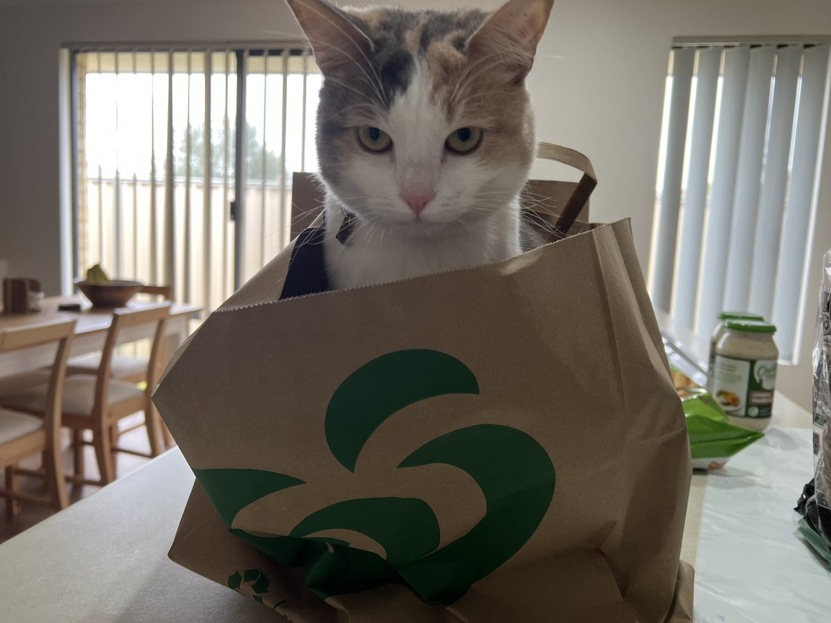 Woolies, these online order substitutions are getting wild 🐱