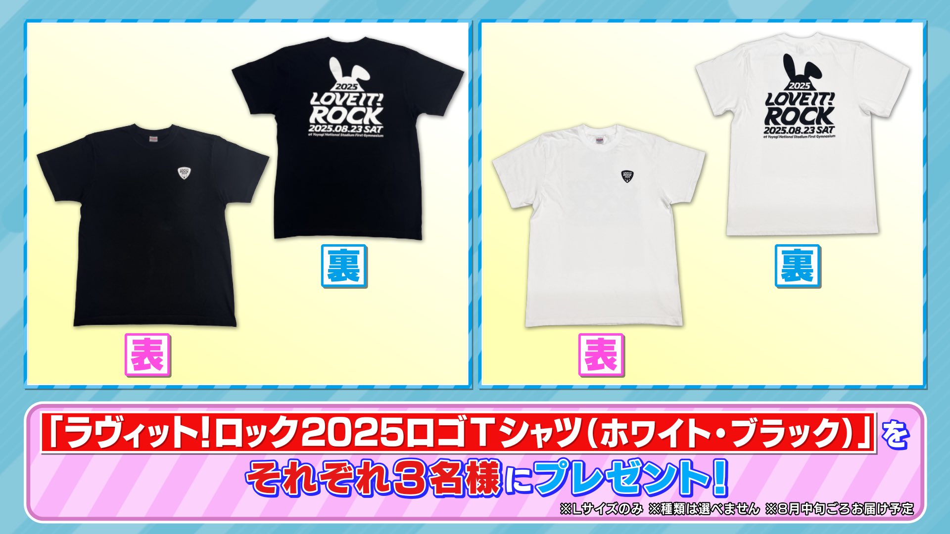 にこ　ラヴィットロック② 美和ロック,MIWA GAS2 三協アルミ DXII,アルピーネ扉用 ロックケース