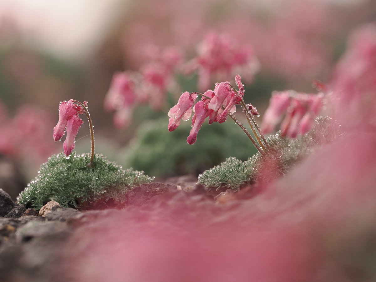 FourThirdsSystem tweet media