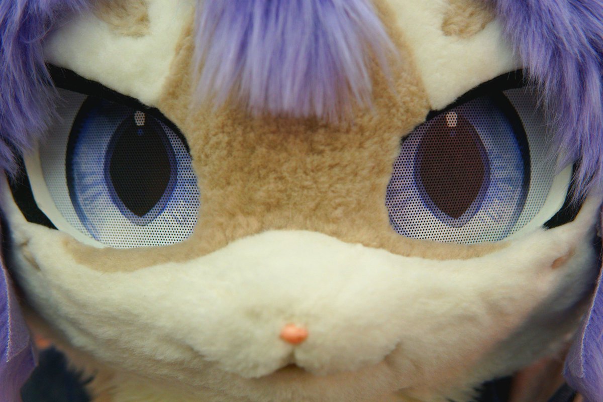 sins_owo's tweet image. MEOW😼
#FursuitEveryday