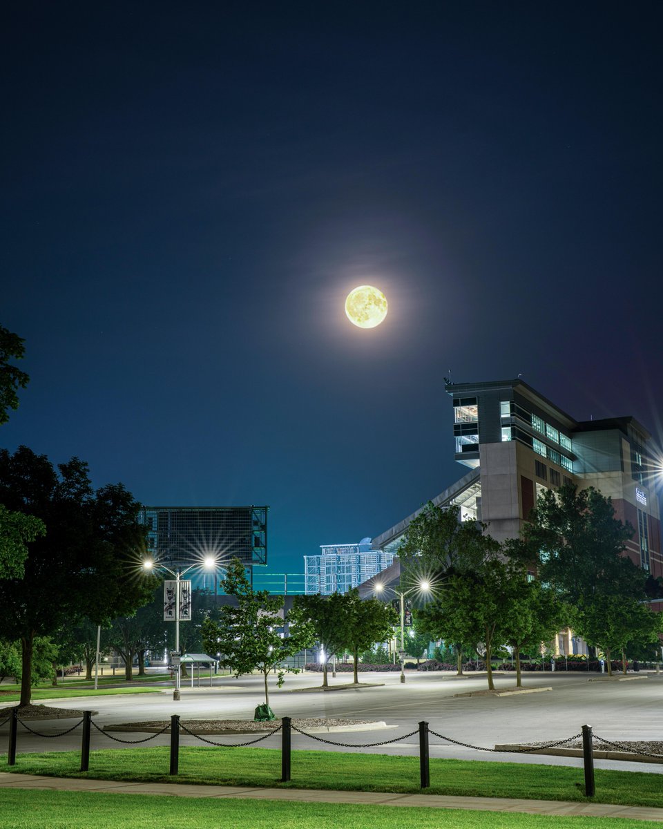 MSU moonlit magic. 🌝