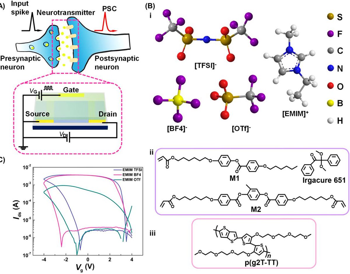 SmartMat (@smartmat2) on Twitter photo Improving Nonvolatile Properties of Solid-Electrolyte-Based Artificial Synapses via Ion Dynamics Modulation in Organic Electrochemical Transistors
<a href="/TransistorFM/">Transistor</a>
doi.org/10.1002/smm2.7… Improving Nonvolatile Properties of Solid-Electrolyte-Based Artificial Synapses via Ion Dynamics Modulation in Organic Electrochemical Transistors
<a href="/TransistorFM/">Transistor</a>
doi.org/10.1002/smm2.7…