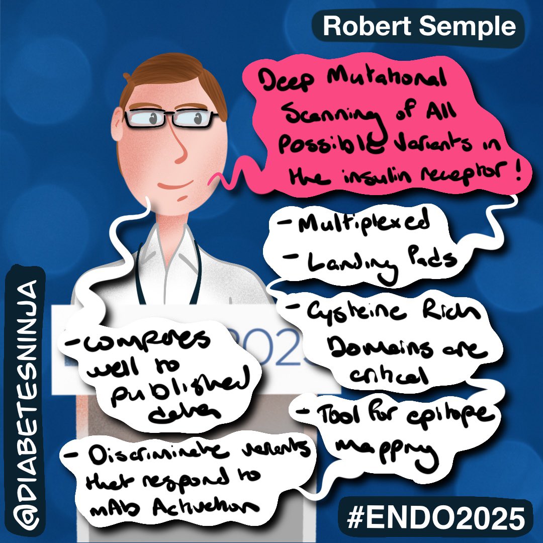 Stephen Stone, MD (@diabetesninja) on Twitter photo Robert Semple at #ENDO2025 unveiled an ambitious approach:
🧬 Deep mutational scanning of every possible variant in the insulin receptor!
•Cysteine-rich domains = critical
•Discriminates mAb-responsive variants
•Useful for variant interpretation
<a href="/TheEndoSociety/">Endocrine Society</a> Robert Semple at #ENDO2025 unveiled an ambitious approach:
🧬 Deep mutational scanning of every possible variant in the insulin receptor!
•Cysteine-rich domains = critical
•Discriminates mAb-responsive variants
•Useful for variant interpretation
<a href="/TheEndoSociety/">Endocrine Society</a>