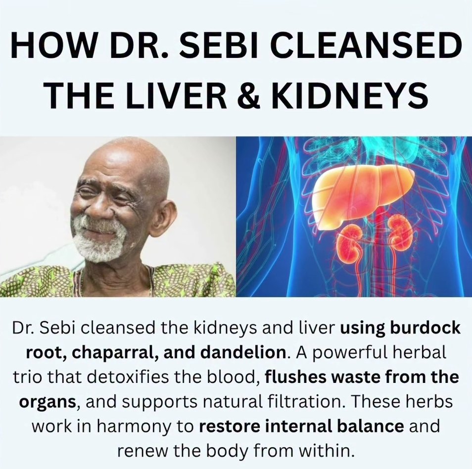 DrSebiSeaMoss's tweet image. 🌿 Dr. Sebi’s Secret to a Clean Liver & Kidneys 💧
Want to detox like the masters of natural healing?
Dr. Sebi used burdock root, chaparral, and dandelion to:
✅ Cleanse the blood
✅ Flush waste from the organs
✅ Support liver & kidney function
✅ Restore internal balance…