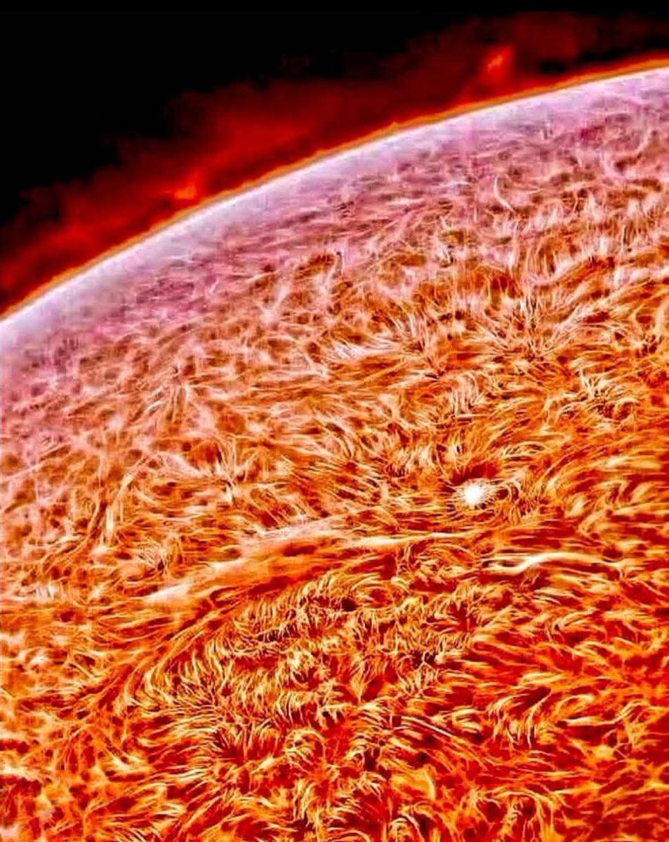 The most clearest picture of the sun  
Taken by NASA.