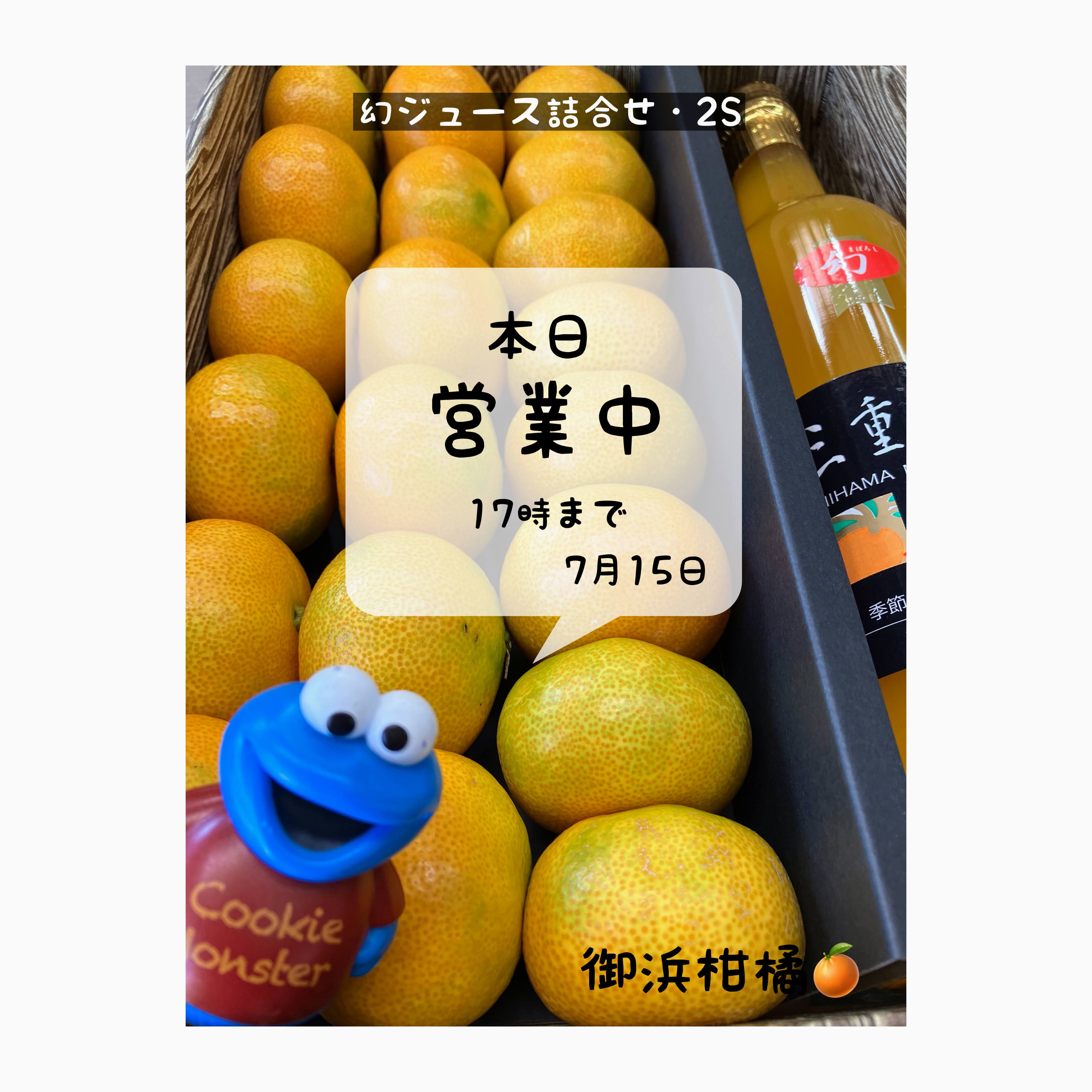 ミカン 鳳凰美田 みかん - 住吉酒販