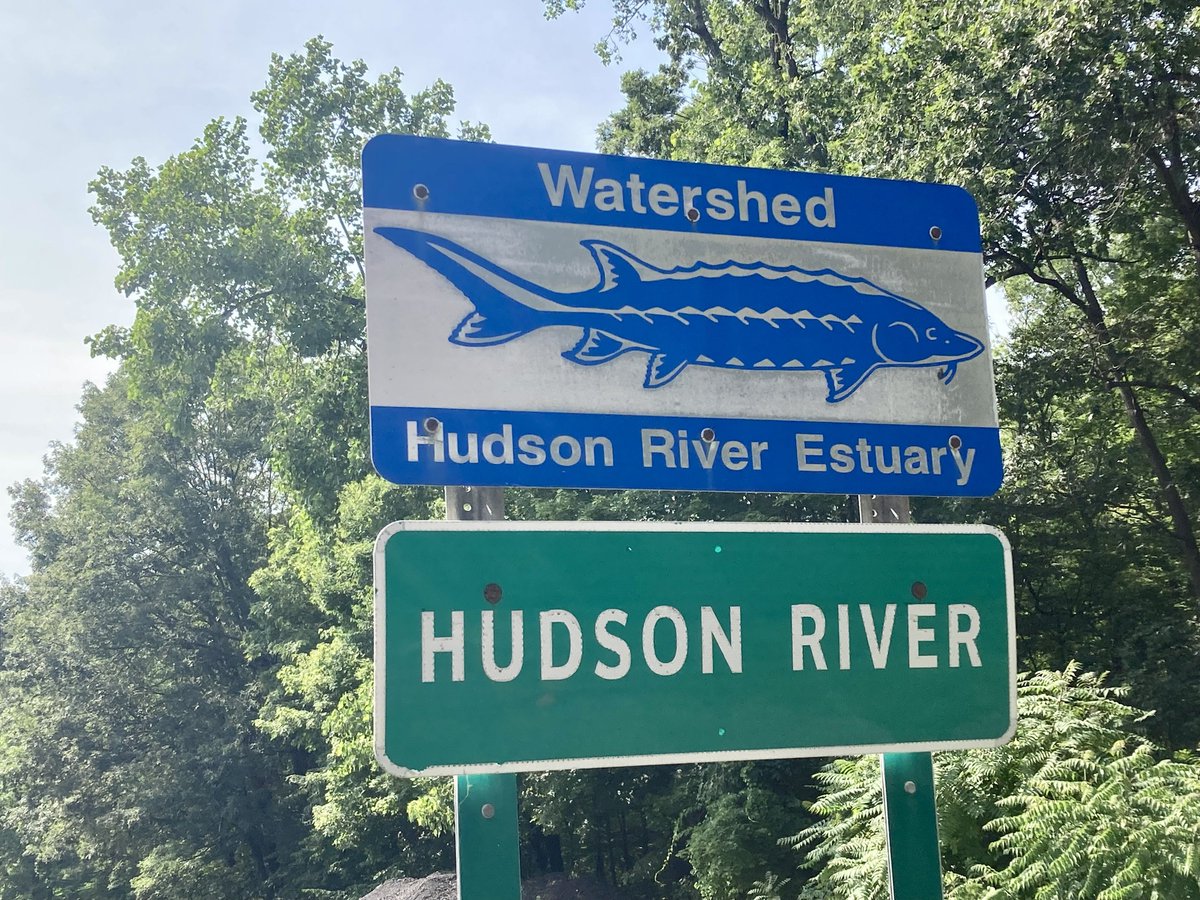 #MondayMapDay: Estuaries and rivers on the East Coast designated by NOAA as critical habitat for the endangered Atlantic #sturgeon. View interactive map: portal.midatlanticocean.org/url_shortener/…

#MapMonday #mappingmonday #marinelife #fish