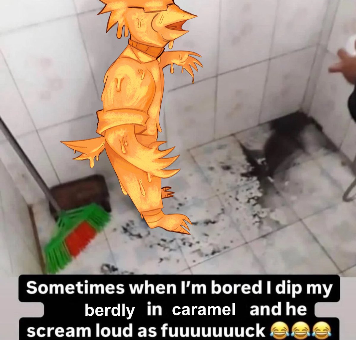 sometimes when im bored I dip my berdly in caramel and he scream loud as fuuuuuuuck 😂😂😂 #deltarune